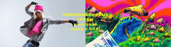марки lsd Пересвет