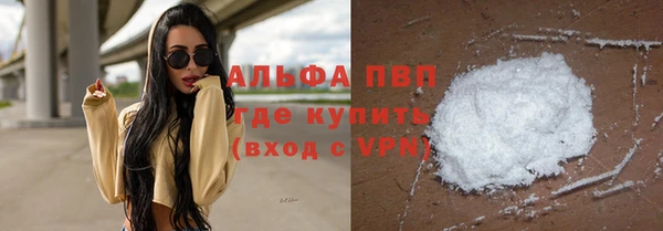 ПСИЛОЦИБИНОВЫЕ ГРИБЫ Переславль-Залесский