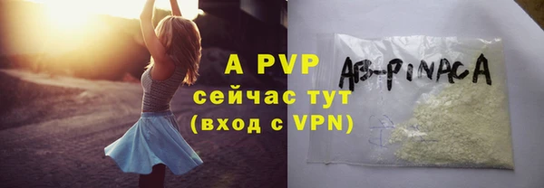 ПСИЛОЦИБИНОВЫЕ ГРИБЫ Переславль-Залесский