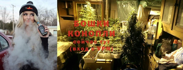 марки lsd Пересвет