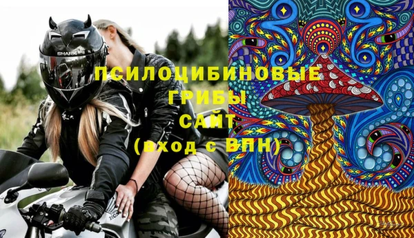 марки lsd Пересвет