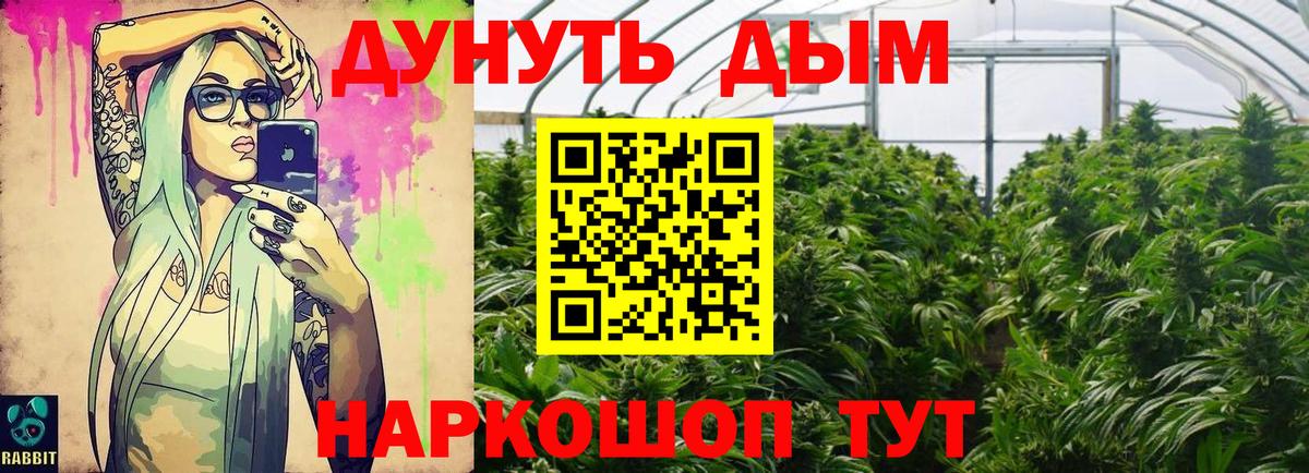 Конопля Amnesia  Каннабис OG Kush  Чебаркуль  Вход с VPN 